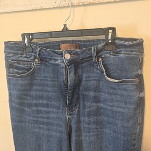 Judy Blue Dark Wash Straight Leg Women’s Jeans